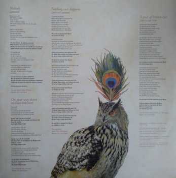 2LP/CD Köster / Hocker: Fremde Feddere