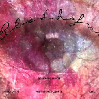 Album Kristin Þóra Haraldsdóttir: Blóðhófnir/Bloodhoof