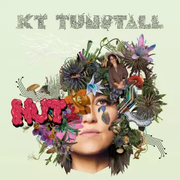 KT Tunstall: Nut