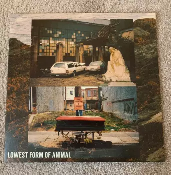 Lowest Form Of Animal