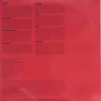 2LP Lady Gaga: Born This Way