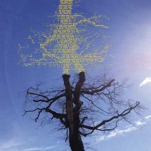 CD Laetitia Sadier: Rooting For Love
