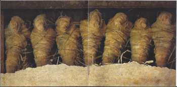 CD Lamb Of God: VII: Sturm Und Drang LTD | DIGI