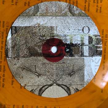 2LP Lambchop: The Bible LTD | CLR