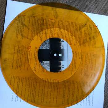 2LP Lambchop: The Bible LTD | CLR