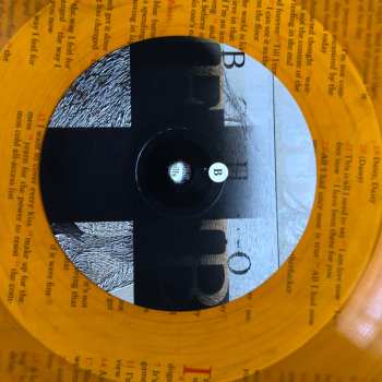 2LP Lambchop: The Bible LTD | CLR