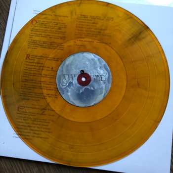 2LP Lambchop: The Bible LTD | CLR