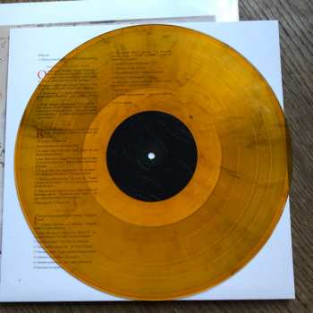 2LP Lambchop: The Bible LTD | CLR
