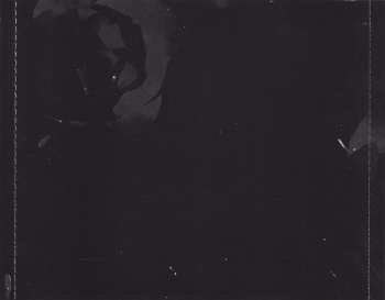 CD Lana Del Rey: Paradise