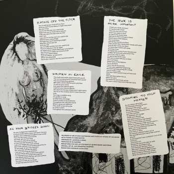 LP Laughing Clowns: Law of Nature