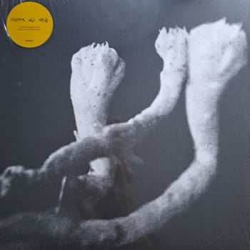 Album Läuten Der Seele: Unterhaltungen Mit Larven Und Überresten