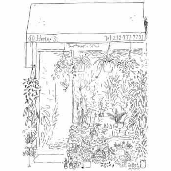 Album Lawrence: Manhattan