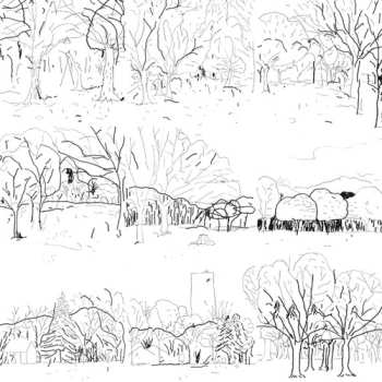 Album Lawrence: Yoyogi Park