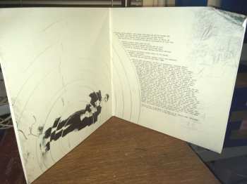 2LP LCD Soundsystem: Sound Of Silver