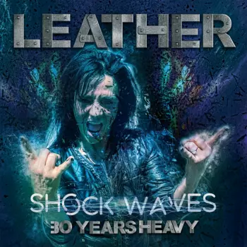 Shock Waves
