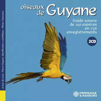 Oiseaux De Guyane