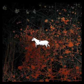 2LP/2CD/DVD/Set di cofanetti Les Discrets: Prédateurs LTD | CLR