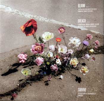 LP Lewis Capaldi: Survive CLR | LTD