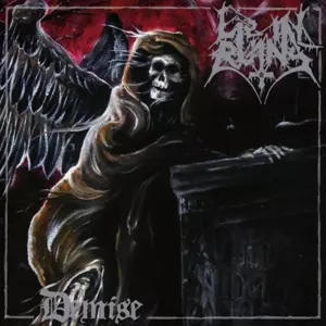 Demise 