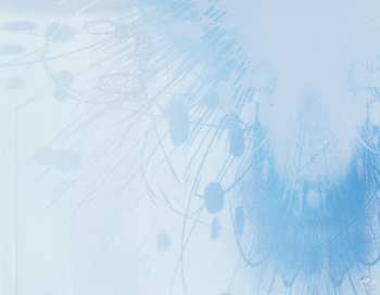 CD Lili Haydn: Light Blue Sun