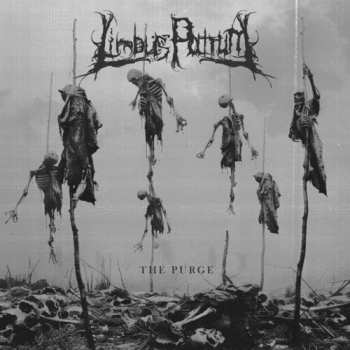 CD Limbus Patrum: Purge
