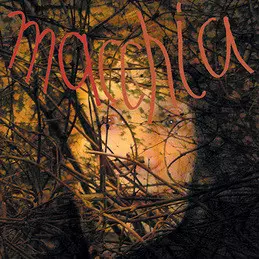 Macchia Forest