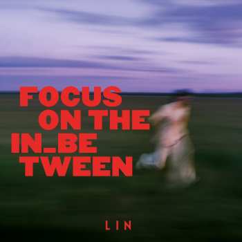 CD Lin: Focus On The In_between