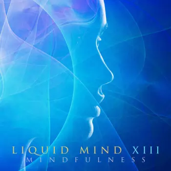 Liquid Mind: Liquid Mind XIII: Mindfulness