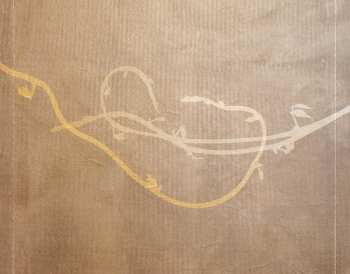 CD Lira: Soul In Mind