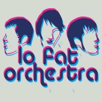 CD Lo Fat Orchestra: Questions For Honey
