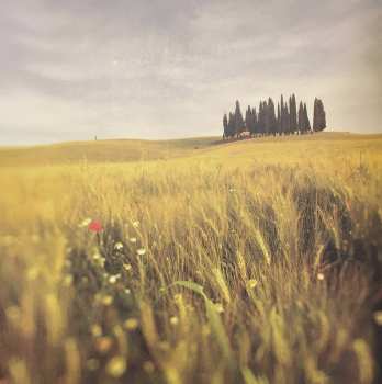 LP Loreena McKennitt: Lost Souls