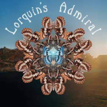 Album Lorquin's Admiral: Lorquin's Admiral Lt