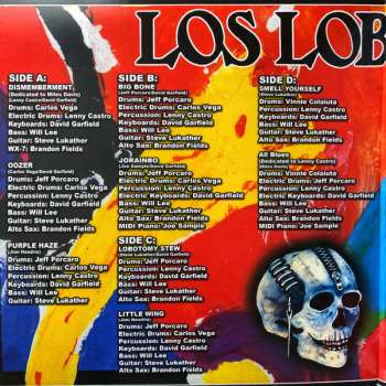 2LP Los Lobotomys: Los Lobotomys