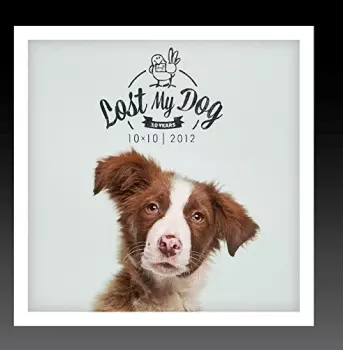 Lost My Dog 10x10: 2012 / Var: Lost My Dog 10x10: 2012