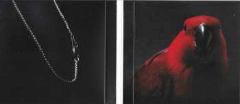 CD LP (Laura Pergolizzi): Churches DIGI