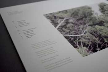 LP Luke Temple: A Hand Through The Cellar Door