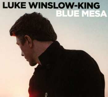 CD Luke Winslow-King: Blue Mesa