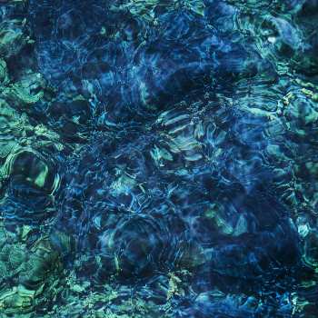 LP Ichiko Aoba: Luminescent Creatures