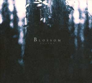 CD Lustre: Blossom