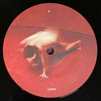 LP Lykke Li: Eyeye