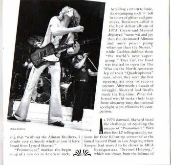 2CD Lynyrd Skynyrd: The Essential Lynyrd Skynyrd