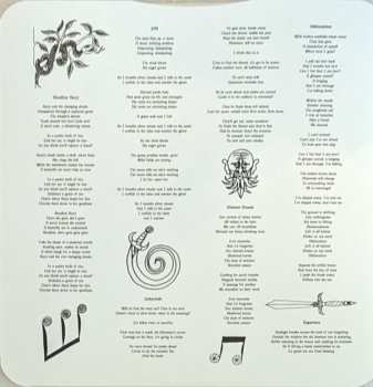 LP Magic Fig: Magic Fig CLR