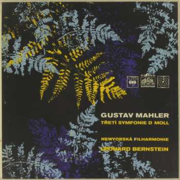 2LP/Set di cofanetti Leonard Bernstein: Symfonie Č.3, D Moll