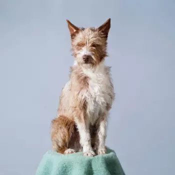 Different Planets EP