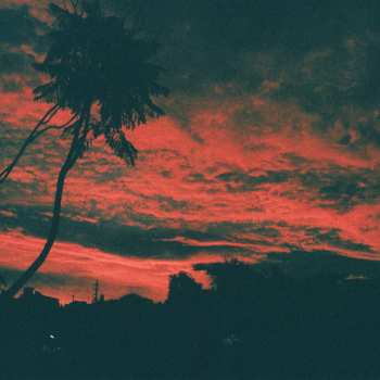 Album Malena Zavala: Aliso