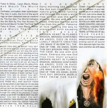 CD Man.Machine.Industry: Lean Back, Relax And Watch The World Burn