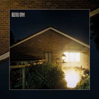 2LP Mantis: Glint LTD | CLR