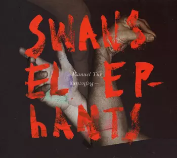 Manuel Tur: Swans Reflecting Elephants