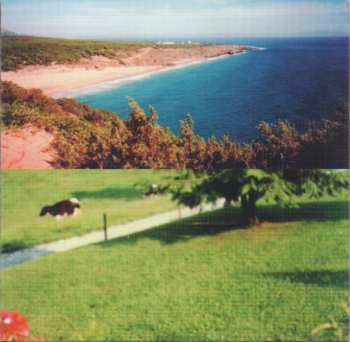 CD Marden Hill: Lost Weekend