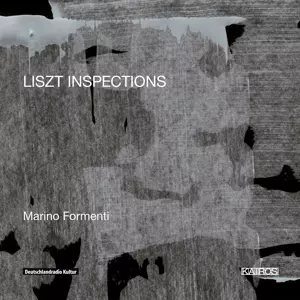Liszt Inspections